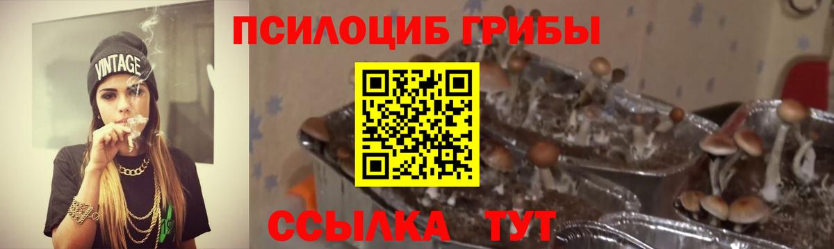 Галлюциногенные грибы GOLDEN TEACHER  Вход с VPN  Псилоцибиновые грибы Cubensis  Кулебаки 